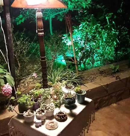 Hébergement de vacances Mina Evleri *